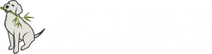 Allvar